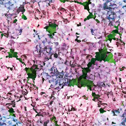 voksdug med hortensia